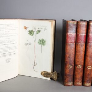 Aftegninger paa de planter, som voxe vildt i kongerigerne Danmark og Norge, i hertugdommene Slesvig og Holsteen, og i grevskaberne Oldenborg og Delmenhorst, til at oplyse det under titel Flora Danica paa Kongelig befalning foranstaltete verk over disse planter. 5 volumes. Edited by Georg Christian Oeder, Otto Friederich Müller.