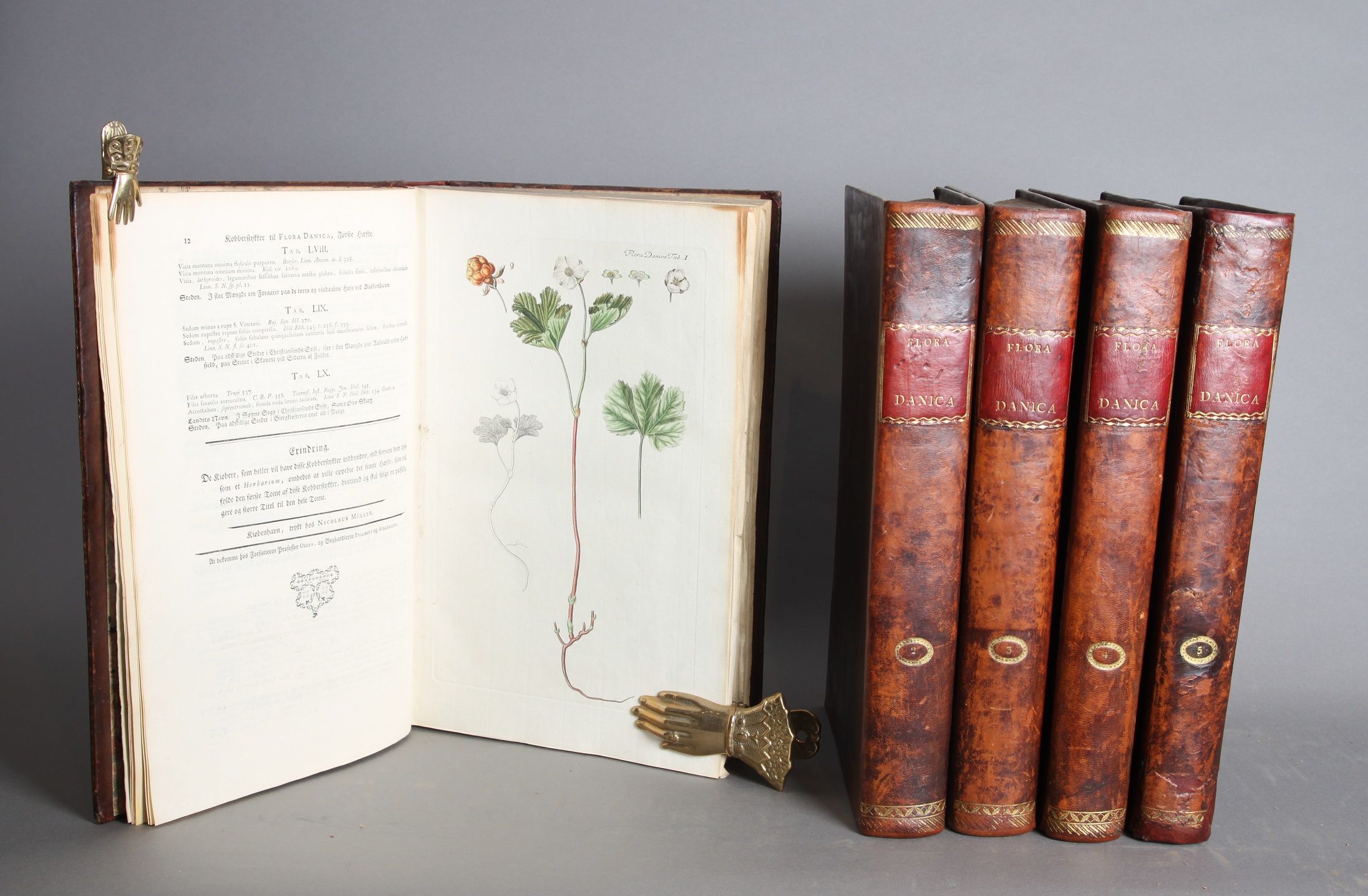 Aftegninger paa de planter, som voxe vildt i kongerigerne Danmark og Norge, i hertugdommene Slesvig og Holsteen, og i grevskaberne Oldenborg og Delmenhorst, til at oplyse det under titel Flora Danica paa Kongelig befalning foranstaltete verk over disse planter. 5 volumes. Edited by Georg Christian Oeder, Otto Friederich Müller.