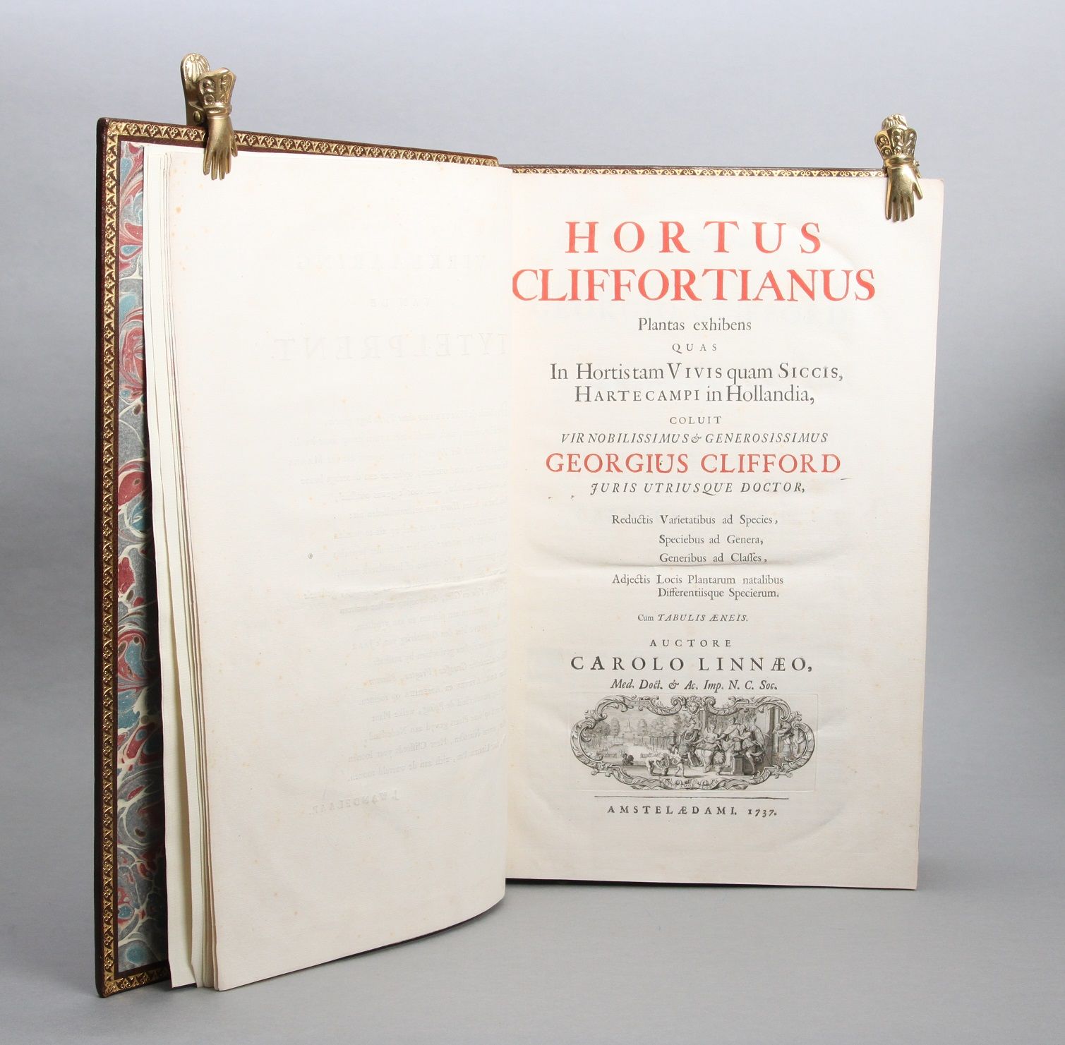 Hortus Cliffortianus Plantas exhibens quas in Hortis tam Vivis quam Siccis, Hartecampi in Hollandia, coluit vir nobilissimus & generossimus Georgius Clifford juris utriusque doctor, Reductis varietatibus ad Species, Speciebus ad Genera, Generibus ad Classes, Adjectis Locis Plantarum natalibus Differentiisque Specierum. Cum tabulis æneis - Bilde 2