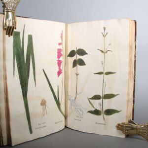 Ecypa vegetabilium usibus medicis praecipue destinatorum et in pharmacopolis obviorum variisque modis praeparatorum ad naturae similitudinem expressa.