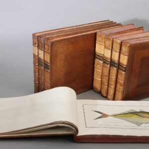 Allgemeine Naturgeschichte der Fische. I. Oeconomische Naturgeschichte der Fische Deutschlands. 3 parts. II. Naturgeschichte der ausländischen Fische. 9 parts.