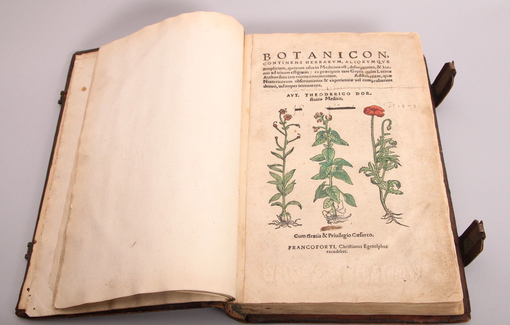Botanicon, Continens Herbarum, Aliorumque Simplicum, quorum usus in Medicinis est, descriptiones, & Iconas ad vivum effigiatas : ex praecipuis tam Grecis quàm Latinis Authoribus iam recens concinnatum. Additis etiam quæ Neotericorum observationes & experientiæ uel comprobarunt denuo, uel nuper inuenerunt. Aut. Theoderico Dor. stenio Medico. Francoforti, Christianus Egenolphus excudebat.