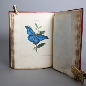 An Epitome of the Natural History of the Insects of China: comprising figures and descriptions of upwards of one hundered new, singular, and beautiful species; together with some that are of importance in medicine, domestic economy, &c. The figures are accurately drawn, engraved, and coloured, from specimens of the insects; The descriptions are arranged according to the system of Linnæus; with references to the writings of fabricius, and other systematic authors.