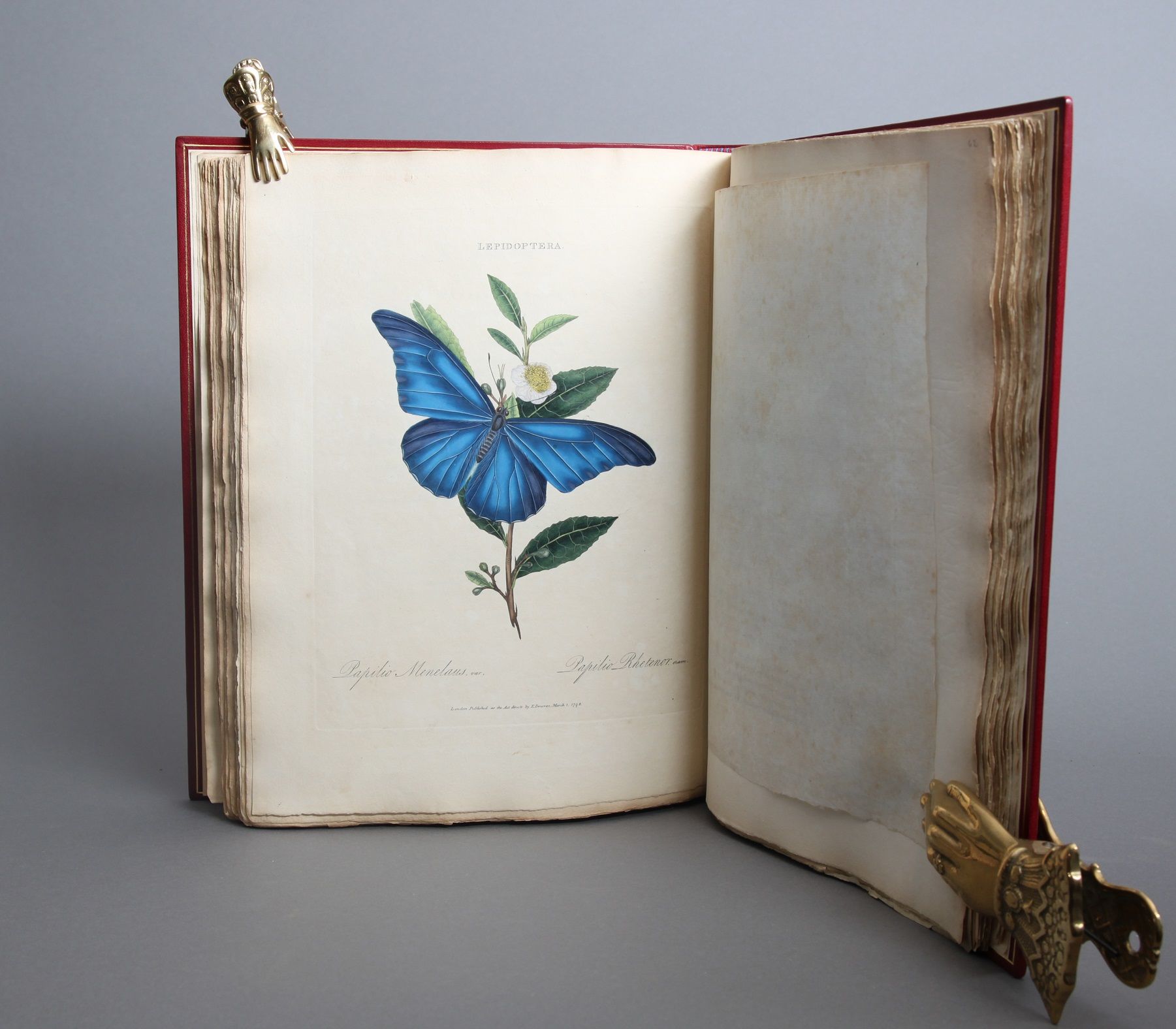 An Epitome of the Natural History of the Insects of China: comprising figures and descriptions of upwards of one hundered new, singular, and beautiful species; together with some that are of importance in medicine, domestic economy, &c. The figures are accurately drawn, engraved, and coloured, from specimens of the insects; The descriptions are arranged according to the system of Linnæus; with references to the writings of fabricius, and other systematic authors.