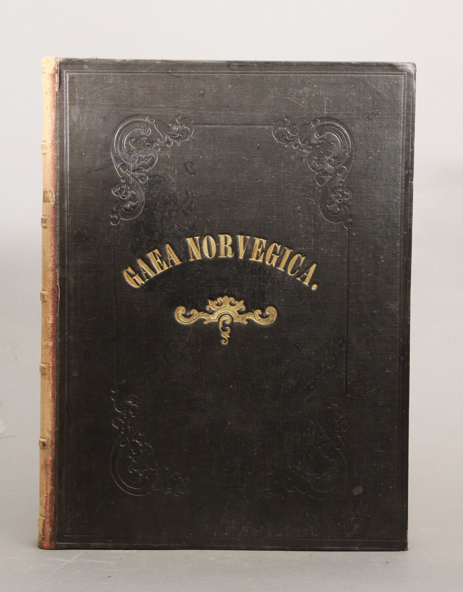 Gaea Norvegica. Von mehreren Verfassern. Herausgegeben von B. M. Keilhau. Dieser Band enhält die Lieferungen I, II, III. Mit sieben Tafeln.