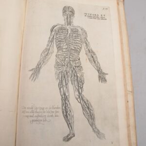 De humani corporis fabrica epitome: cum annotatiionibus Nicolai Fontani.