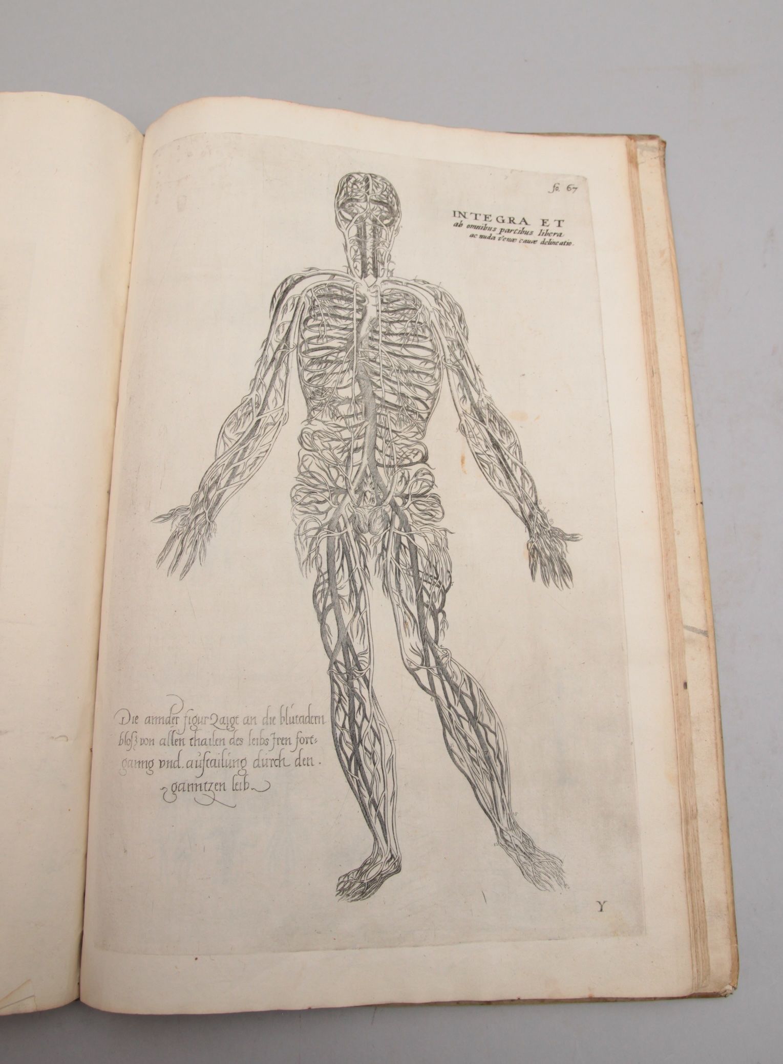 De humani corporis fabrica epitome: cum annotatiionibus Nicolai Fontani.