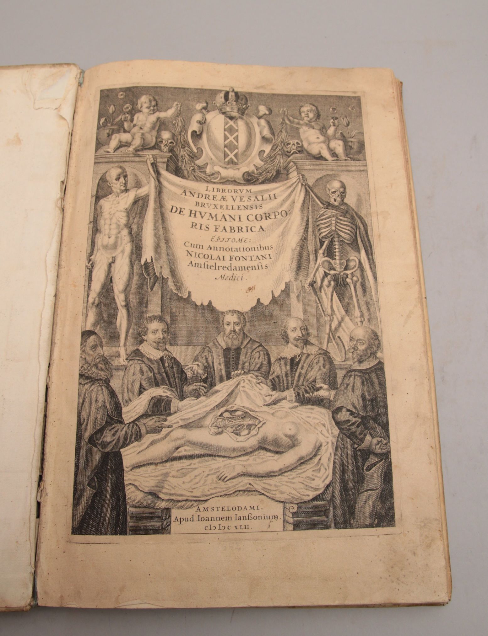 De humani corporis fabrica epitome: cum annotatiionibus Nicolai Fontani. - Bilde 2