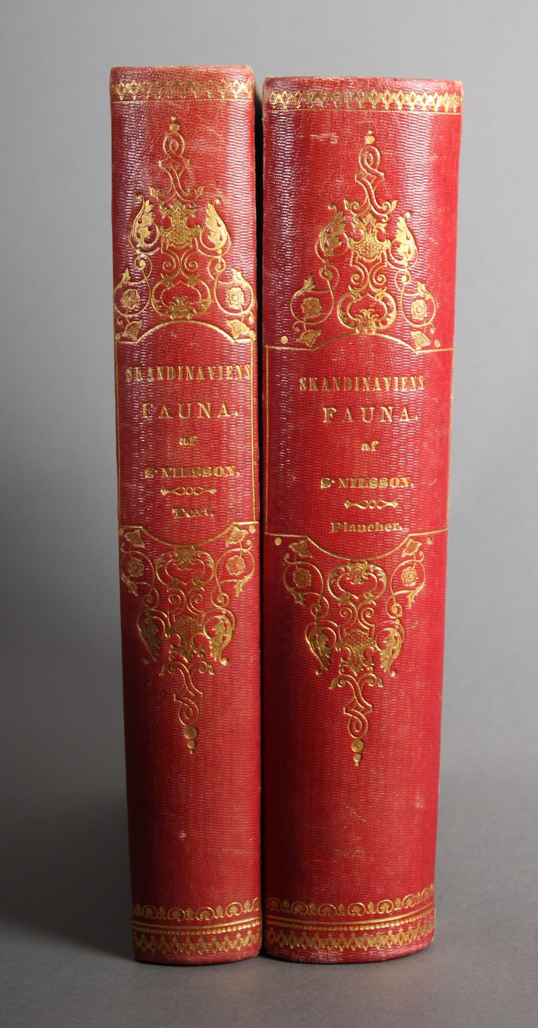 Illuminerade figurer till Skandinaviens fauna, med Text utgifne af -. Bind I-II (Text - Plancher).