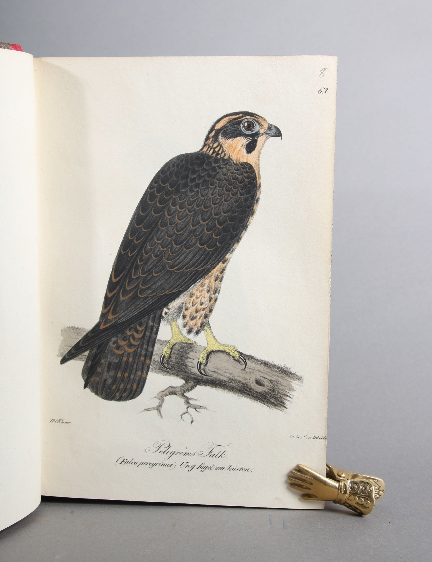 Illuminerade figurer till Skandinaviens fauna, med Text utgifne af -. Bind I-II (Text - Plancher). - Bilde 2