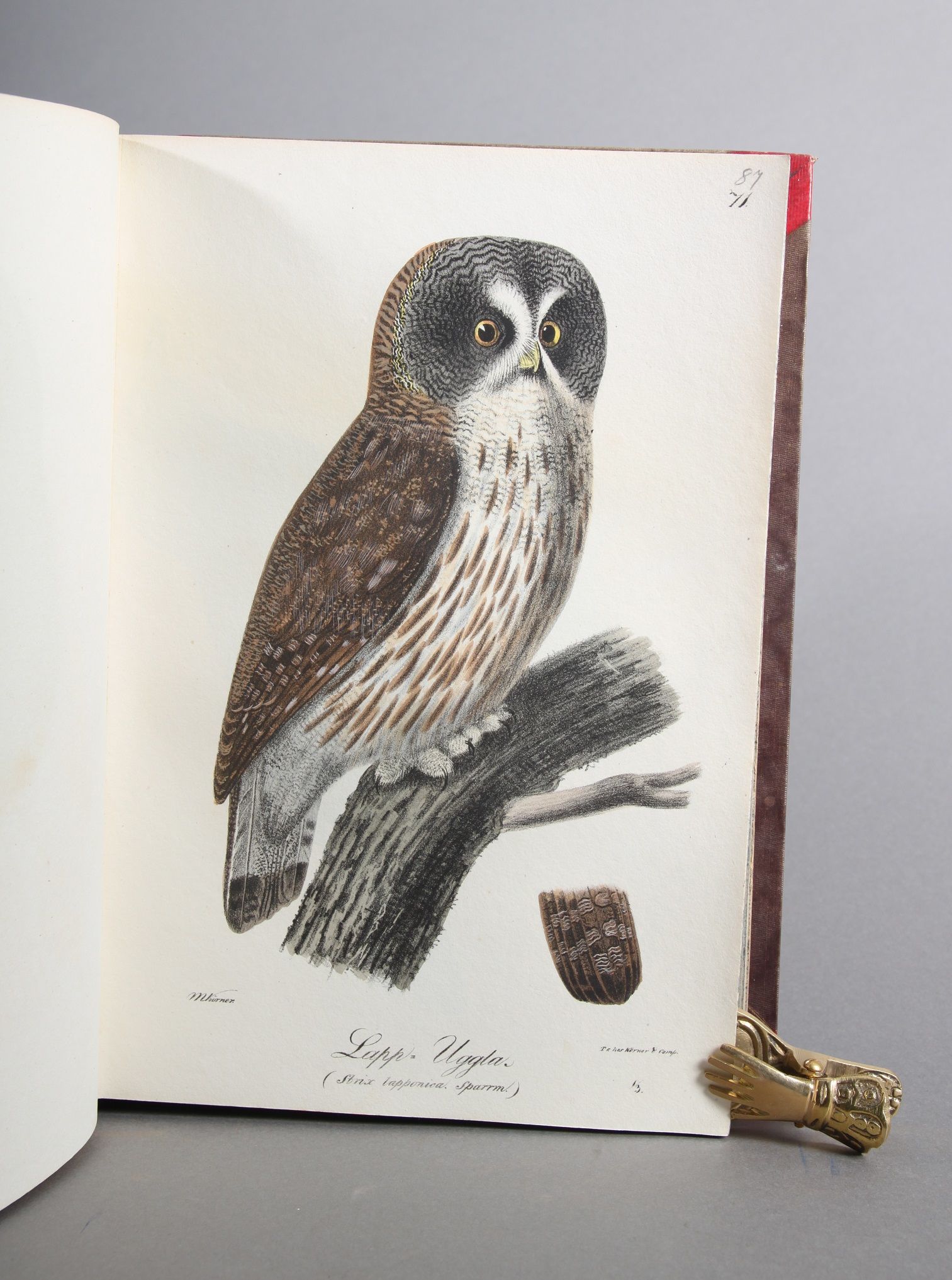 Illuminerade figurer till Skandinaviens fauna, med Text utgifne af -. Bind I-II (Text - Plancher). - Bilde 3
