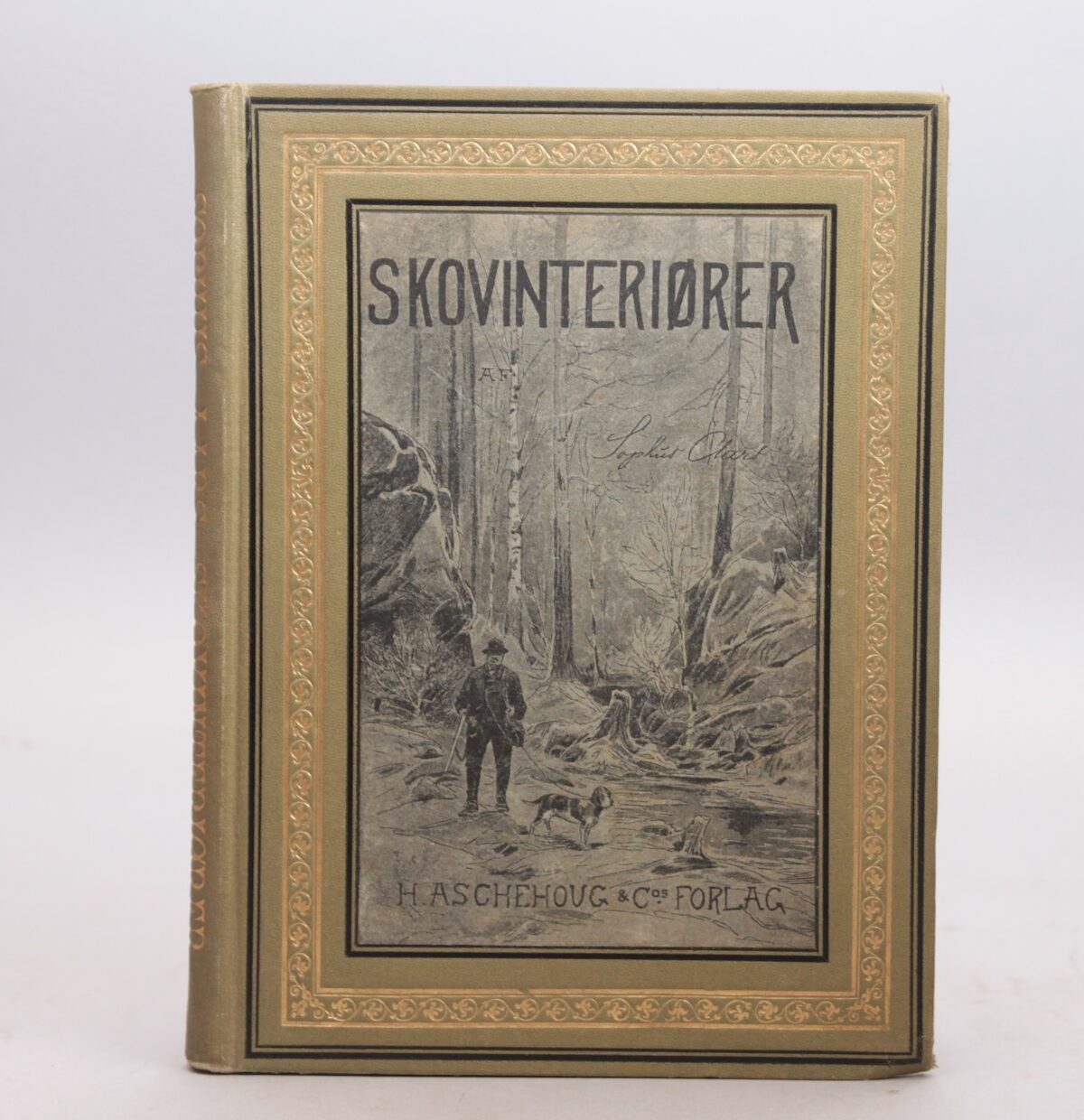 Skovinteriører. Naturskildinger. Med vignetter af Ludv. Skramstad.